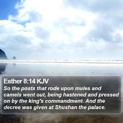 Esther 8:14 KJV Bible Verse Image