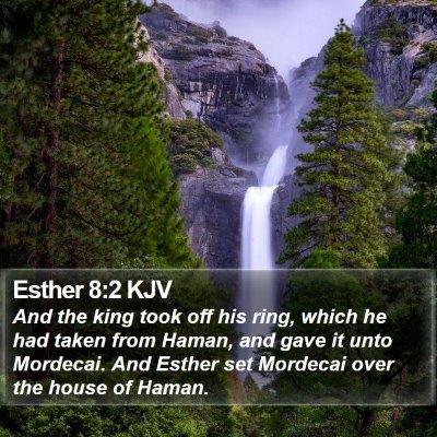 Esther 8:2 KJV Bible Verse Image