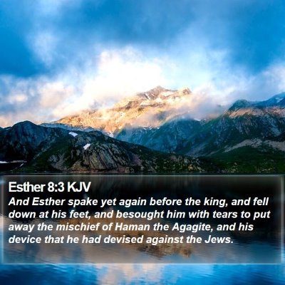 Esther 8:3 KJV Bible Verse Image