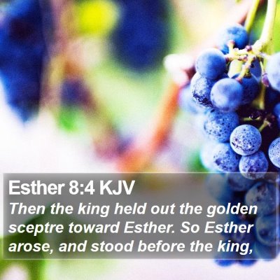 Esther 8:4 KJV Bible Verse Image