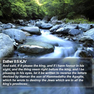 Esther 8:5 KJV Bible Verse Image