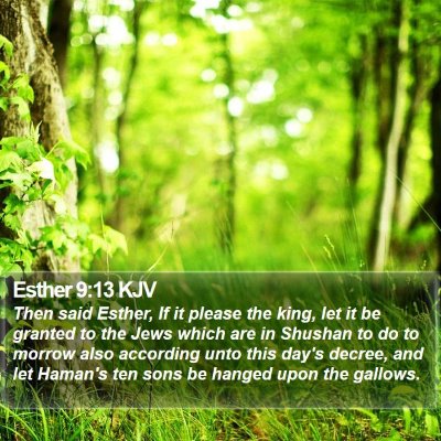 Esther 9:13 KJV Bible Verse Image