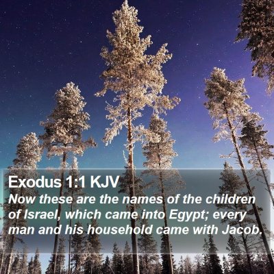 Exodus 1:1 KJV Bible Verse Image