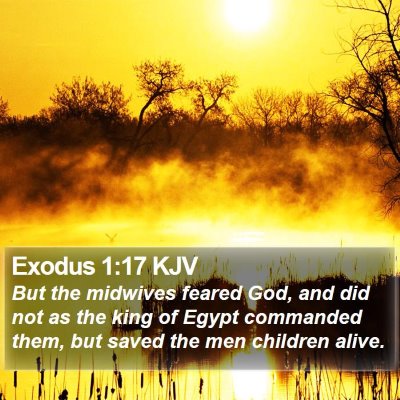 Exodus 1:17 KJV Bible Verse Image
