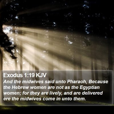Exodus 1:19 KJV Bible Verse Image