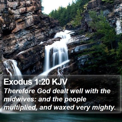 Exodus 1:20 KJV Bible Verse Image