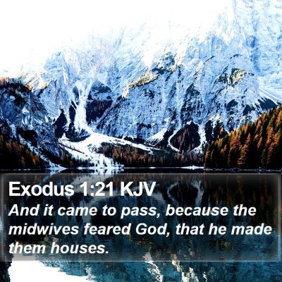 Exodus 1:21 KJV Bible Verse Image