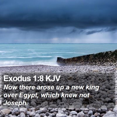 Exodus 1:8 KJV Bible Verse Image