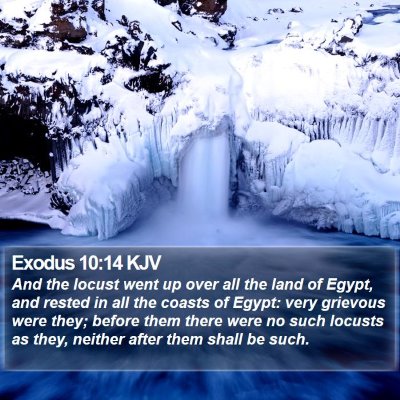 Exodus 10:14 KJV Bible Verse Image