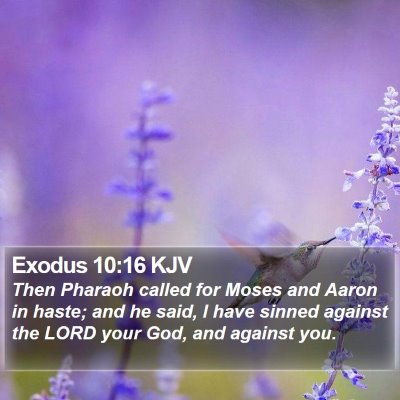 Exodus 10:16 KJV Bible Verse Image
