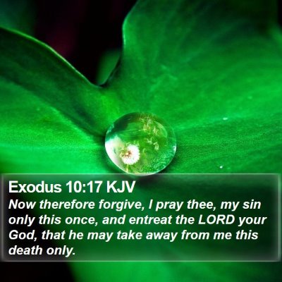Exodus 10:17 KJV Bible Verse Image