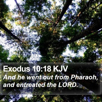Exodus 10:18 KJV Bible Verse Image