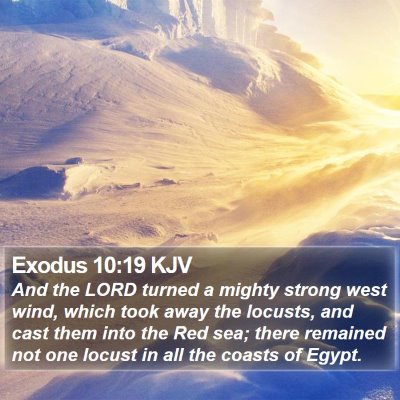 Exodus 10:19 KJV Bible Verse Image