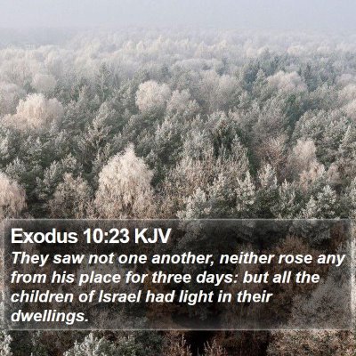Exodus 10:23 KJV Bible Verse Image
