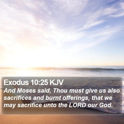 Exodus 10:25 KJV Bible Verse Image
