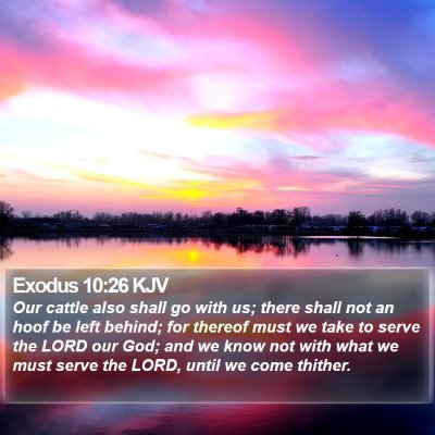 Exodus 10:26 KJV Bible Verse Image