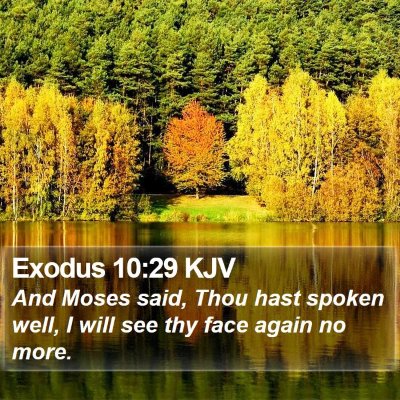 Exodus 10:29 KJV Bible Verse Image