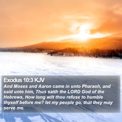 Exodus 10:3 KJV Bible Verse Image