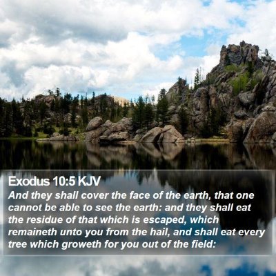 Exodus 10:5 KJV Bible Verse Image