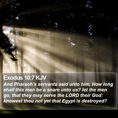Exodus 10:7 KJV Bible Verse Image