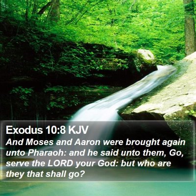 Exodus 10:8 KJV Bible Verse Image