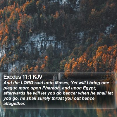 Exodus 11:1 KJV Bible Verse Image