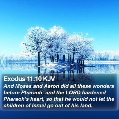 Exodus 11:10 KJV Bible Verse Image