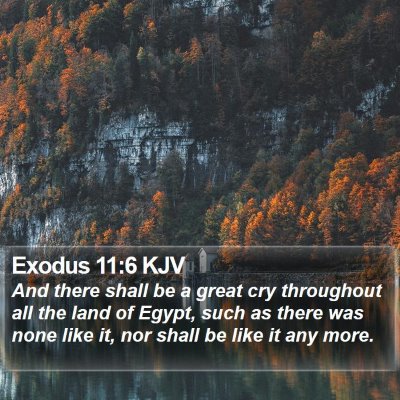 Exodus 11:6 KJV Bible Verse Image