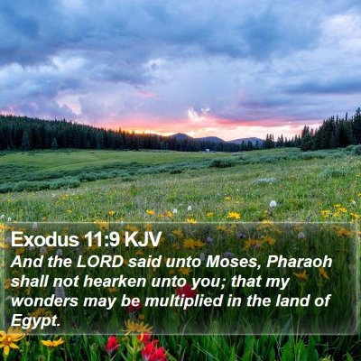 Exodus 11:9 KJV Bible Verse Image