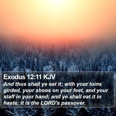 Exodus 12:11 KJV Bible Verse Image