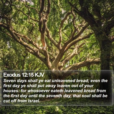 Exodus 12:15 KJV Bible Verse Image