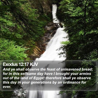 Exodus 12:17 KJV Bible Verse Image
