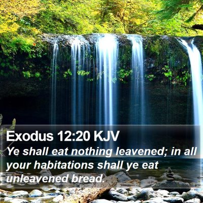 Exodus 12:20 KJV Bible Verse Image