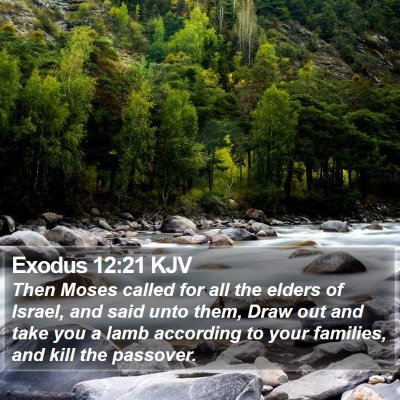 Exodus 12:21 KJV Bible Verse Image