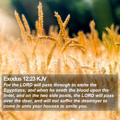 Exodus 12:23 KJV Bible Verse Image