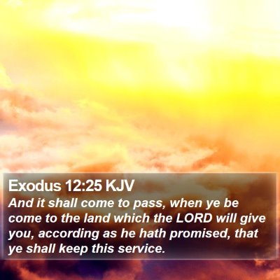Exodus 12:25 KJV Bible Verse Image