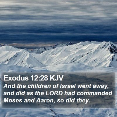 Exodus 12:28 KJV Bible Verse Image