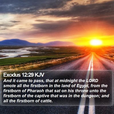 Exodus 12:29 KJV Bible Verse Image