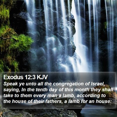 Exodus 12:3 KJV Bible Verse Image