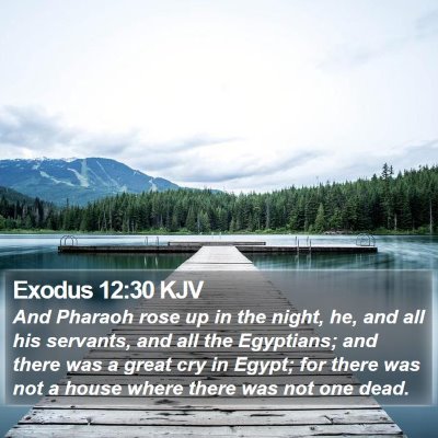Exodus 12:30 KJV Bible Verse Image