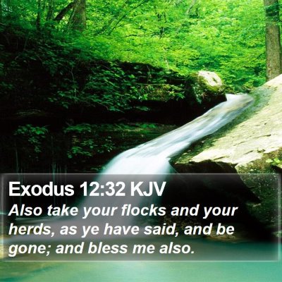 Exodus 12:32 KJV Bible Verse Image