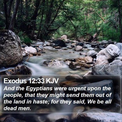 Exodus 12:33 KJV Bible Verse Image