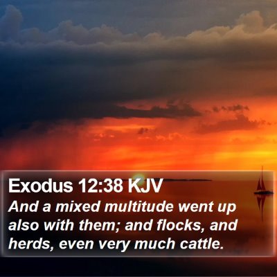 Exodus 12:38 KJV Bible Verse Image
