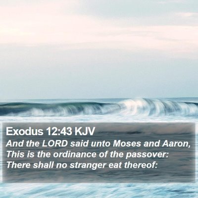 Exodus 12:43 KJV Bible Verse Image
