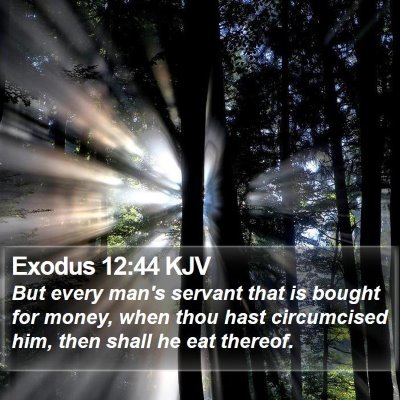 Exodus 12:44 KJV Bible Verse Image
