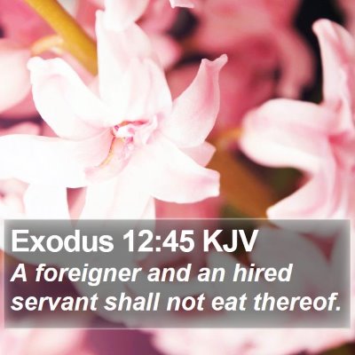 Exodus 12:45 KJV Bible Verse Image
