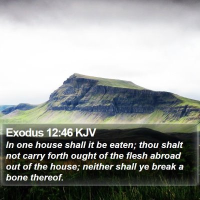 Exodus 12:46 KJV Bible Verse Image
