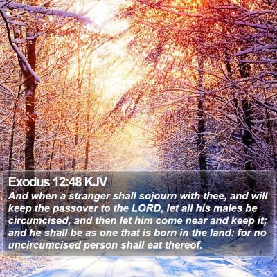 Exodus 12:48 KJV Bible Verse Image