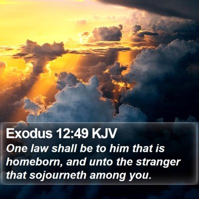 Exodus 12:49 KJV Bible Verse Image