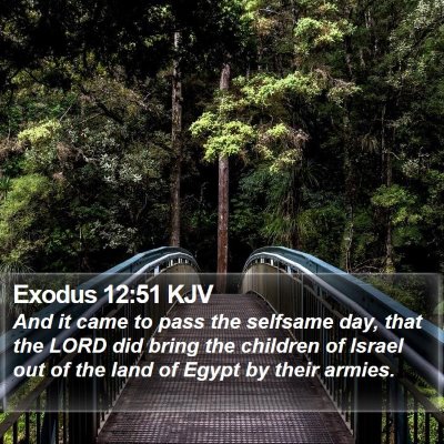 Exodus 12:51 KJV Bible Verse Image